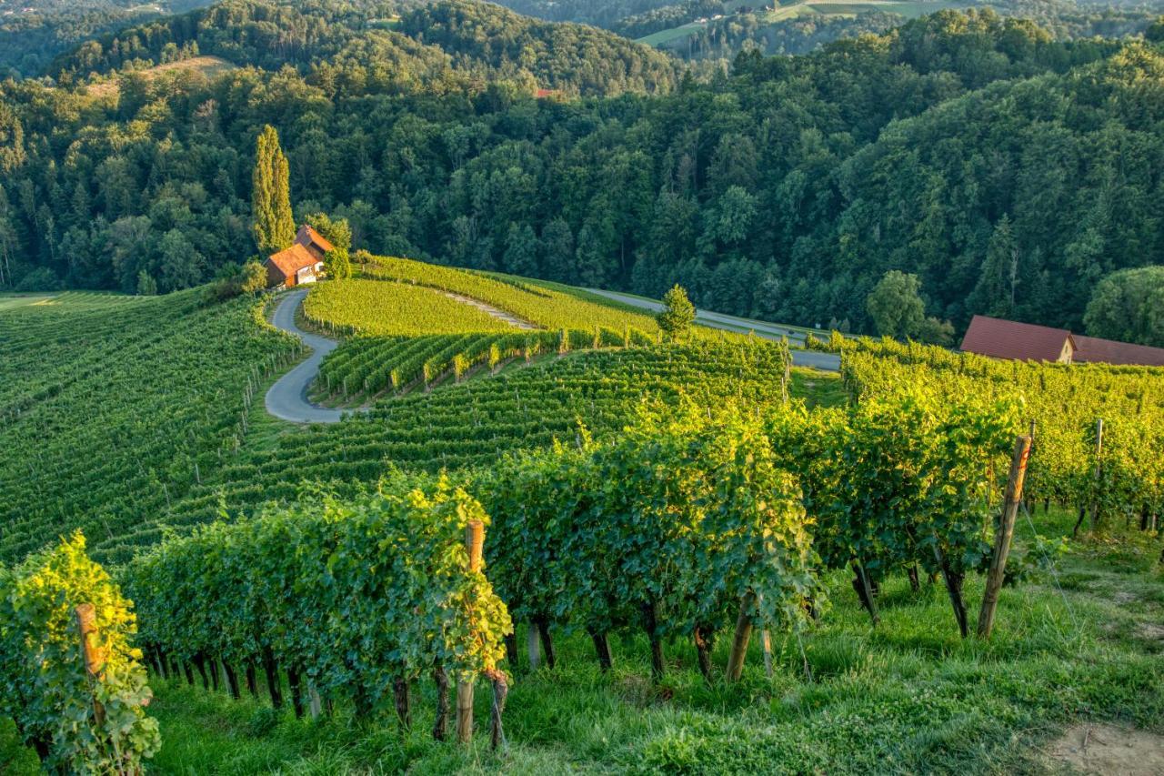 Turisticna Kmetija Dreisiebner Villa Spicnik Екстериор снимка