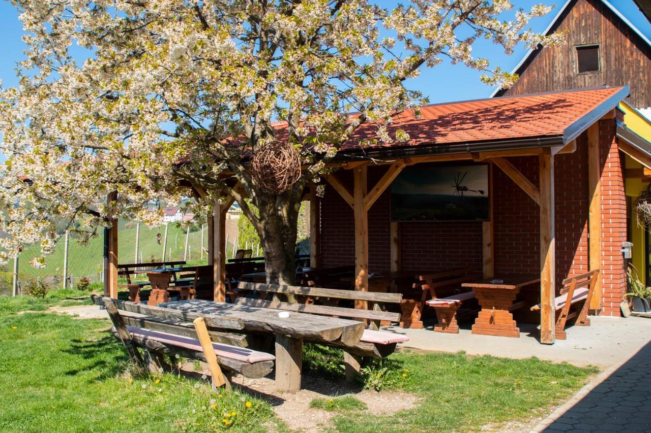 Turisticna Kmetija Dreisiebner Villa Spicnik Екстериор снимка